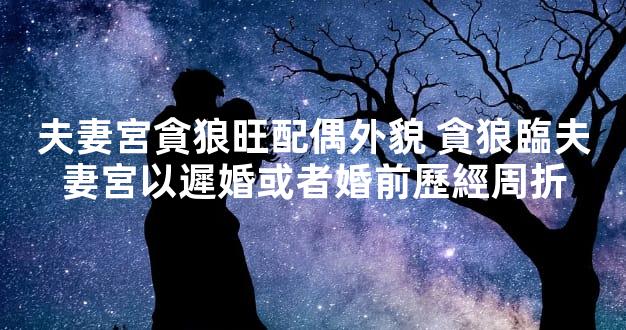 夫妻宮貪狼旺配偶外貌 貪狼臨夫妻宮以遲婚或者婚前歷經周折